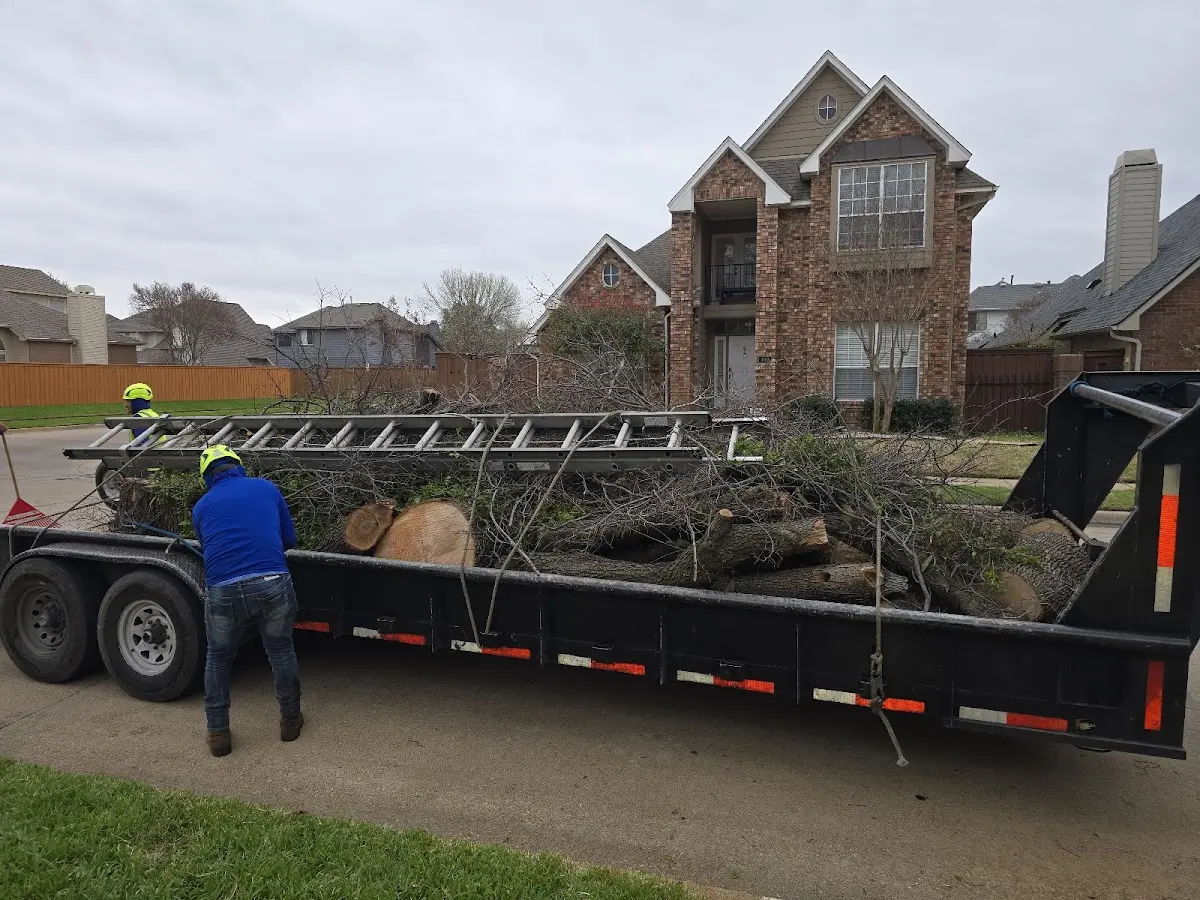Expert Tree Fertilization with proper safety equipment in Dermott